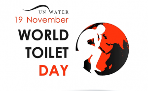 विश्व शौचालय दिवस: 19 नवंबर |_40.1