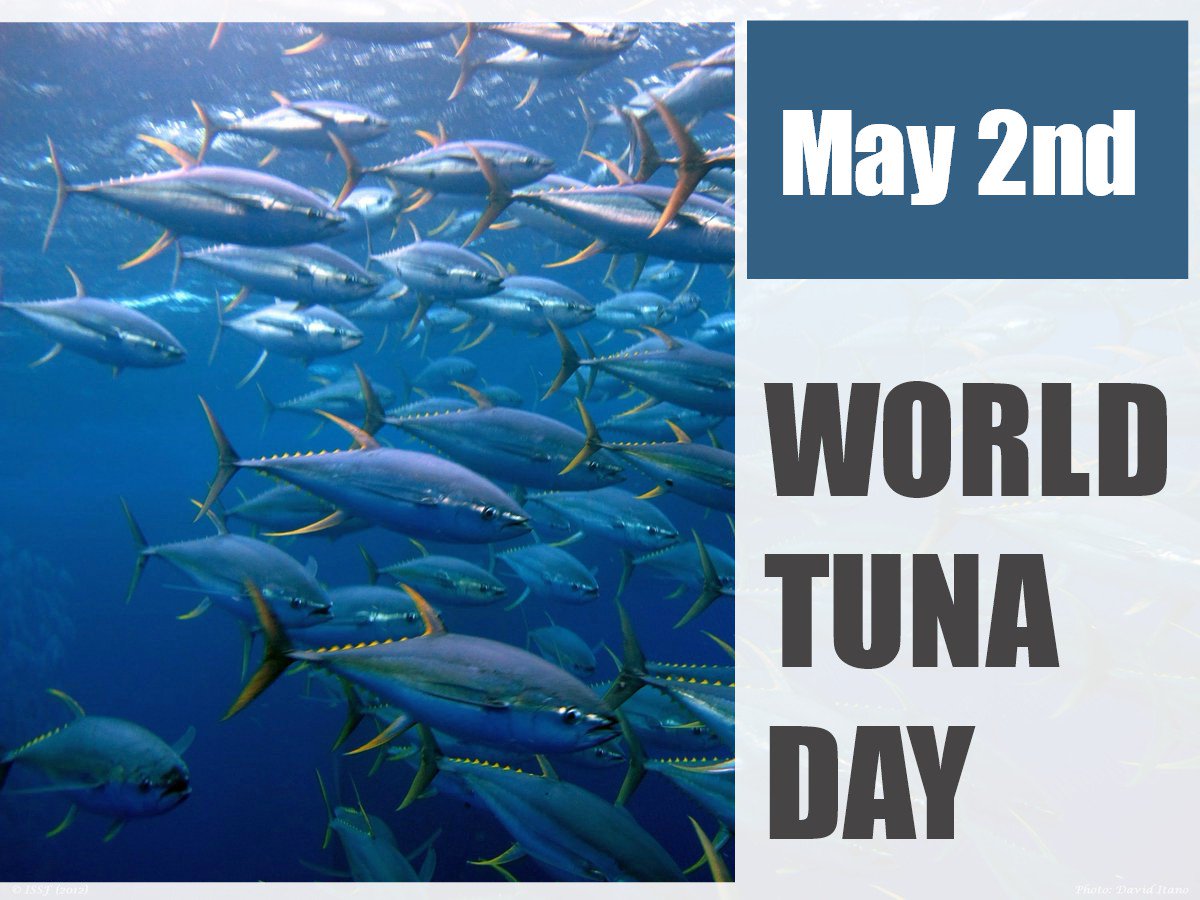 World Tuna Day observed globally on 2 May