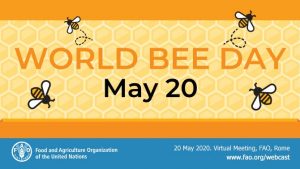 World Bee Day Observed Globally On th May