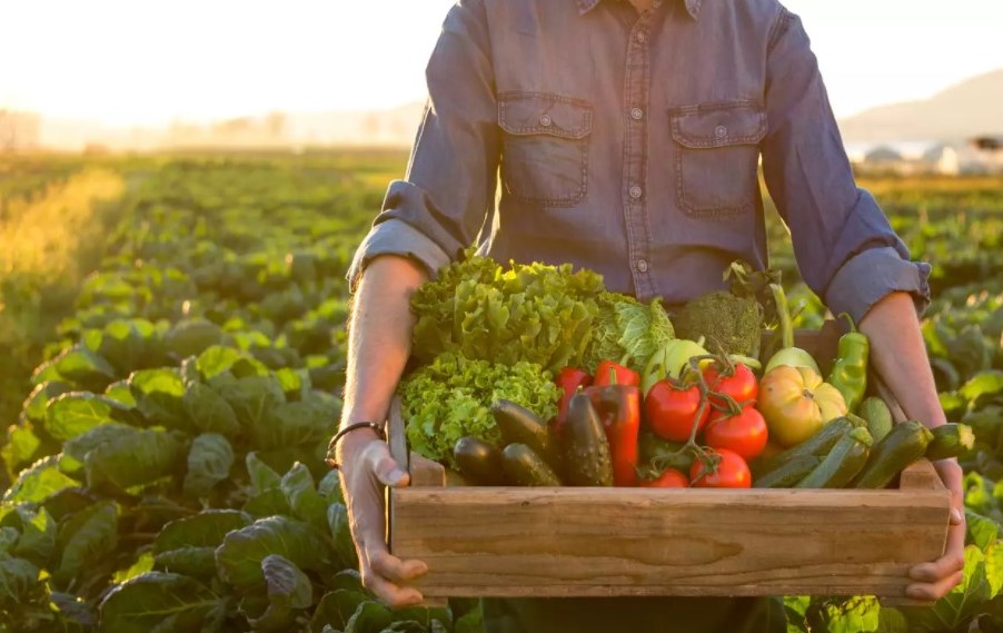 Organic Food Processing Unit inaugurated in Uttar Pradesh