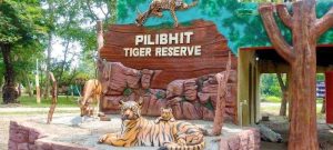 Pilibhit Tiger Reserve gets global award for doubling tiger population_4.1