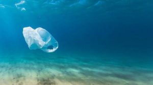 India-Germany enter into agreement to prevent plastic waste entering oceans_4.1