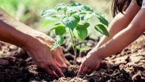 Madhya Pradesh Government launches 'Ankur' scheme_4.1