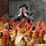 China reports first human case of H10N3 bird flu