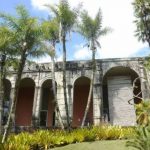 Brazil landscape garden Sitio Burle Marx receives UNESCO World Heritage status
