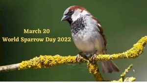 Important Days of the Year 2024 National and International - Part 130_5.1