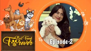 DD National Pet Show 'Best Friend Forever' Wins ENBA Award 2021_4.1