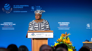 12th WTO Ministerial Conference opened at Geneva, Switzerland_4.1