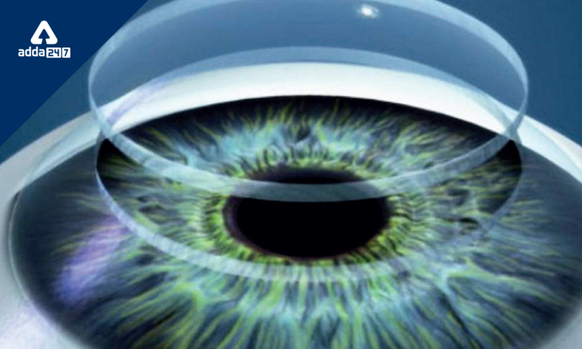 3D-printed Human Cornea