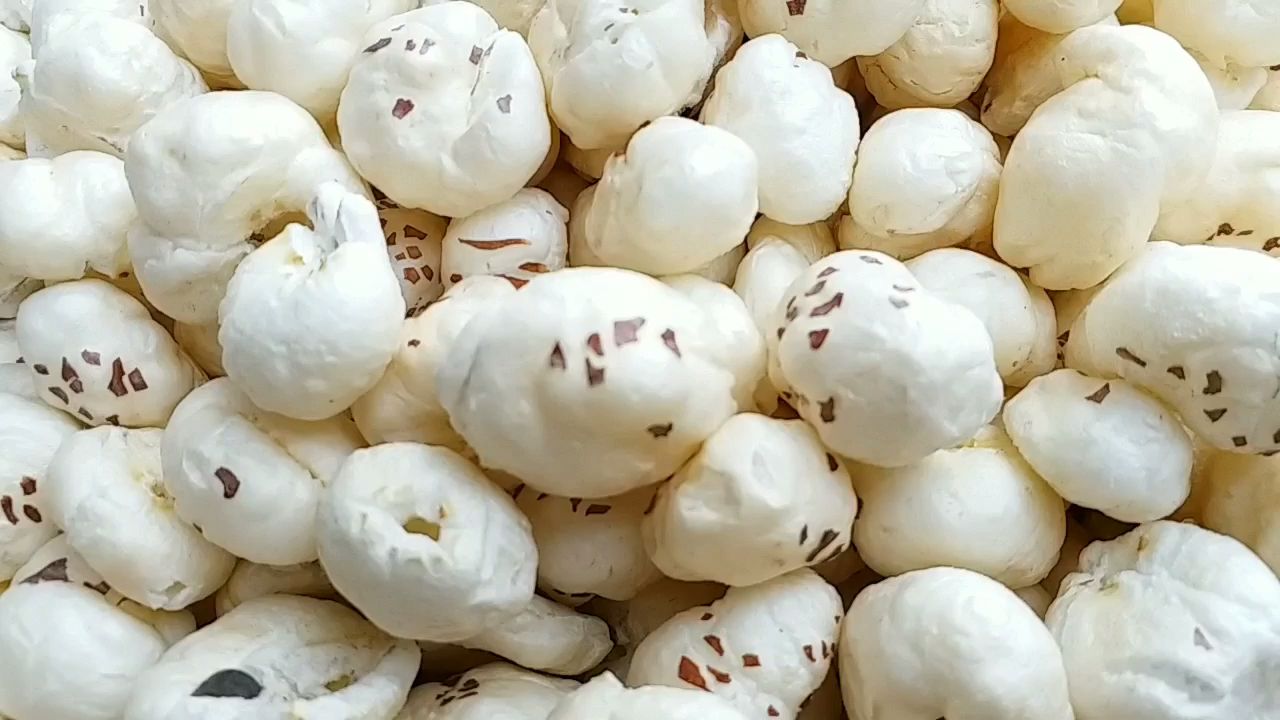 GoI grants GI Tag to Bihar’s Mithila Makhana