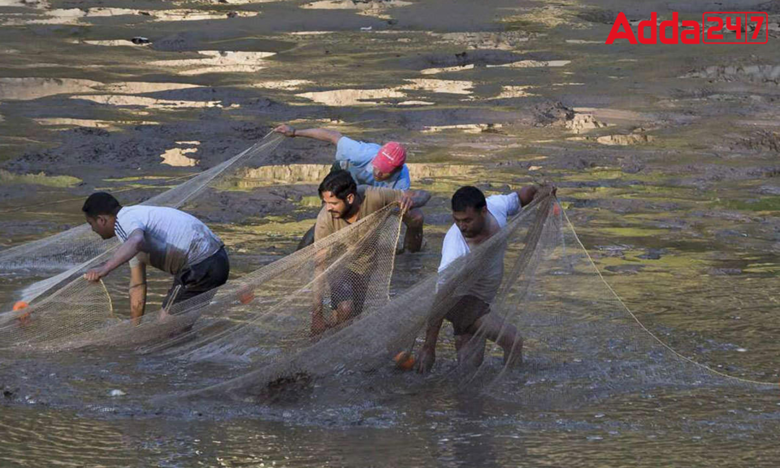 Matsya Setu App's Aqua Bazaar