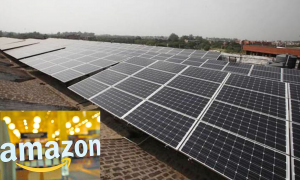 Amazon AMP Energy