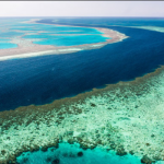 Australia's Great Barrier Reef TO be listed as a World Heritage Site
