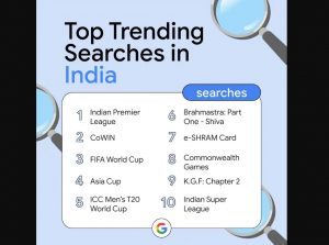 IPL remains the Google India most searched query in 2022_4.1