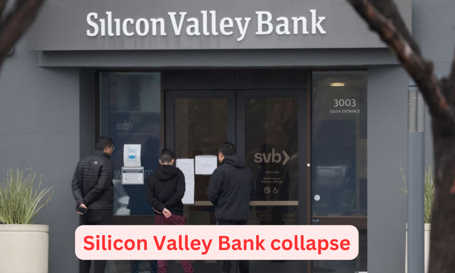 Silicon Valley Bank Collapse, And Is This The Beginning Of A Banking ...