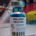 Ghana becomes first country to approve Oxford malaria vaccine for children