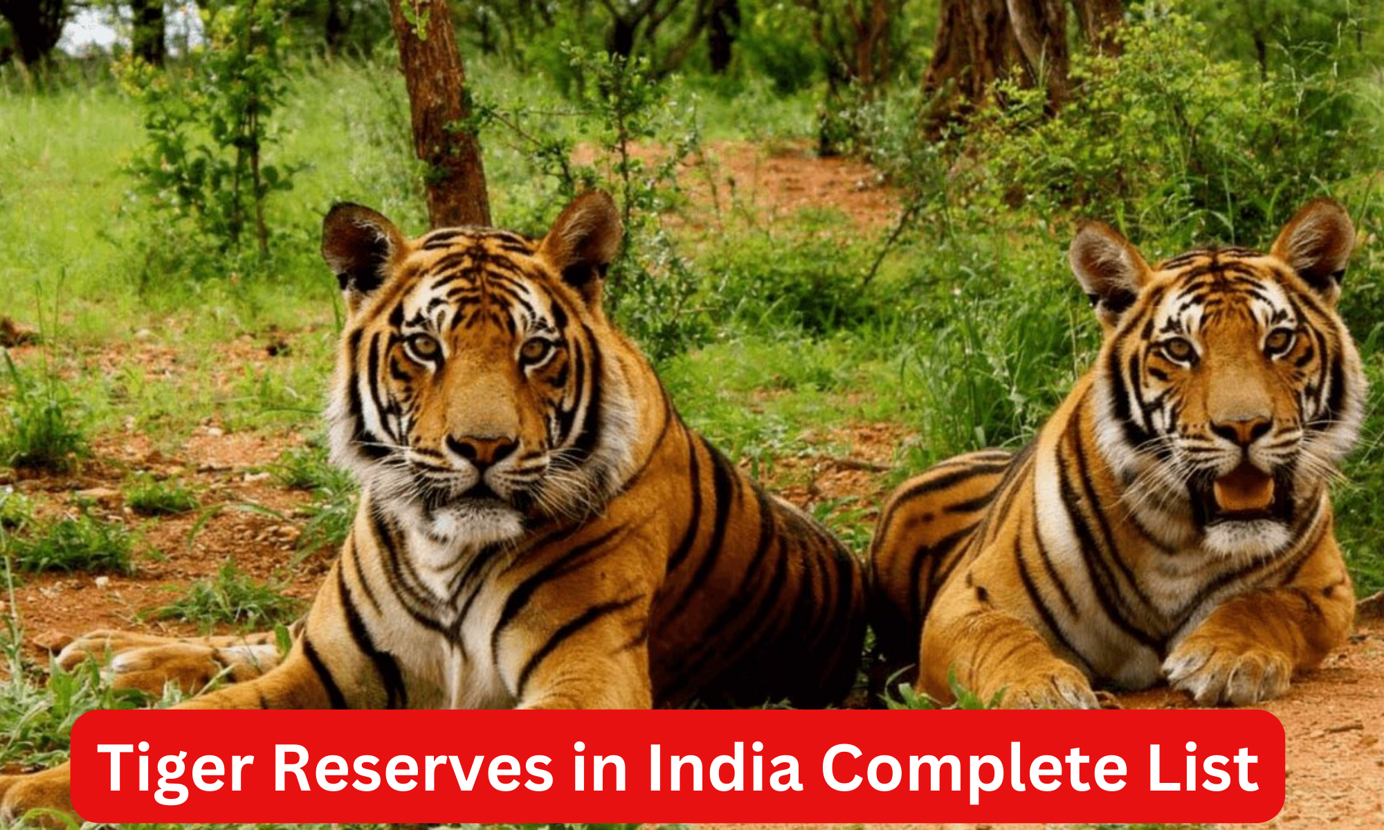 Tiger Reserves in India