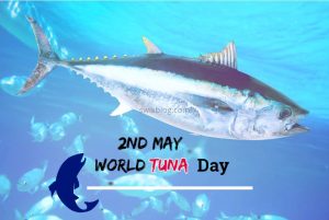 World Tuna Day 2023 observed on 2nd May_4.1