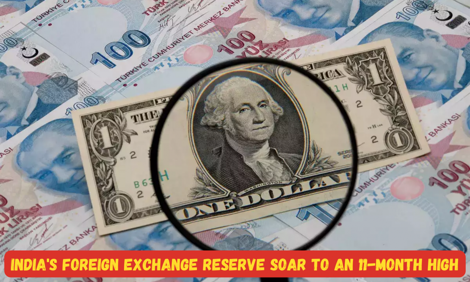 India's foreign exchange reserve soar to an 11-month high