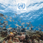 First-ever treaty to safeguard high seas marine life adopted by UN members
