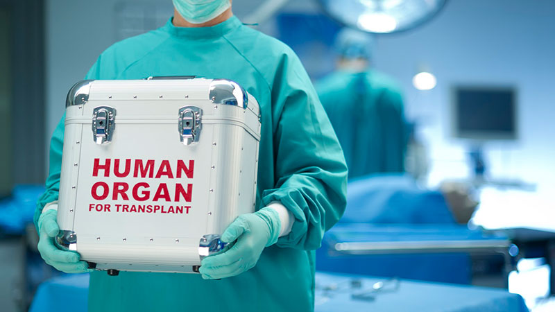 Digital registry on organ transplants to streamline donations on cards