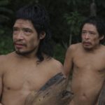 The Resilience of the Piripkura Tribe: Last Survivors Found Deep within the Amazon Rainforest