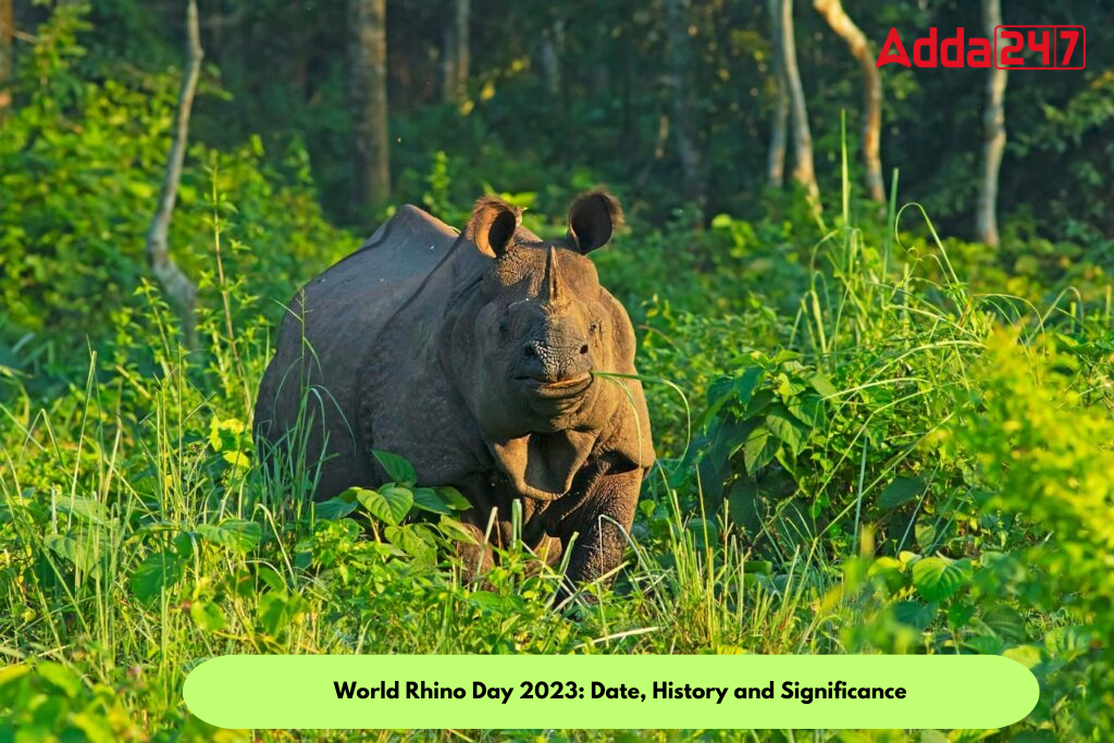 World Rhino Day 2023