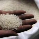 India Allows Export Of 75,000 Tons Of Non-Basmati White Rice To The UAE