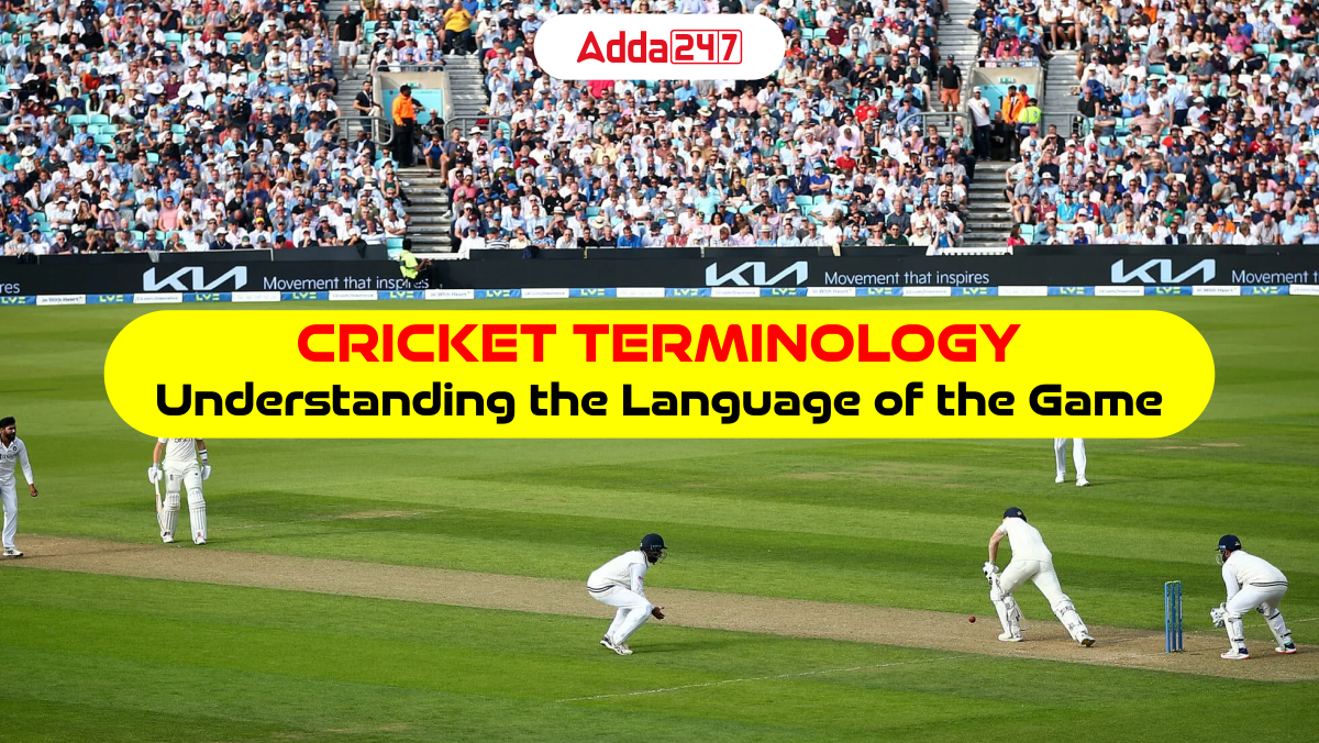 Cricket Terminology: Understanding the Language of the Game