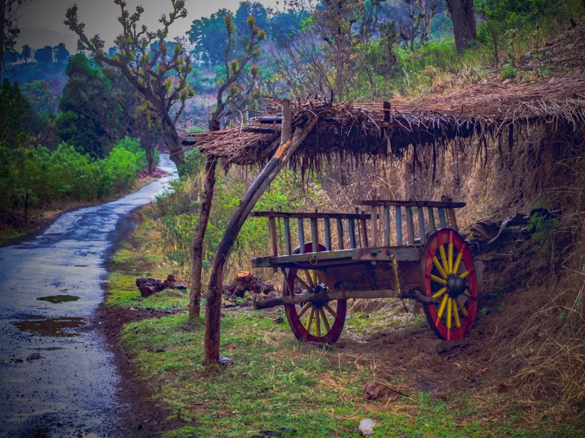 Nawanpind Sardaran Village In Punjab Receives Best Tourism Village Award