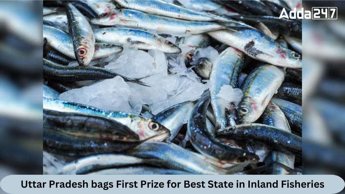 Uttar Pradesh bags First Prize for Best State in Inland Fisheries