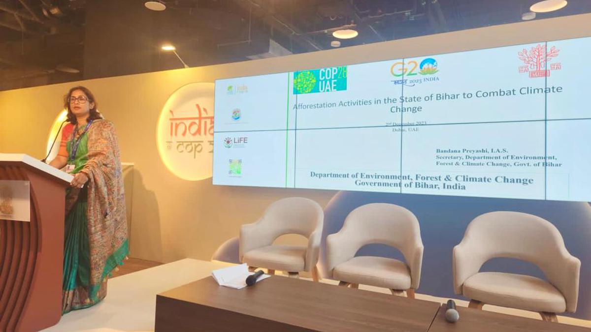 Bihar Garners International Recognition At COP-28 For Afforestation Efforts