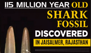 115 Million Year Old Shark Fossil Discovered In Jaisalmer, Rajasthan