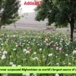 Myanmar Surpasses Afghanistan as World's Leading Opium Source in 2023: UN Report