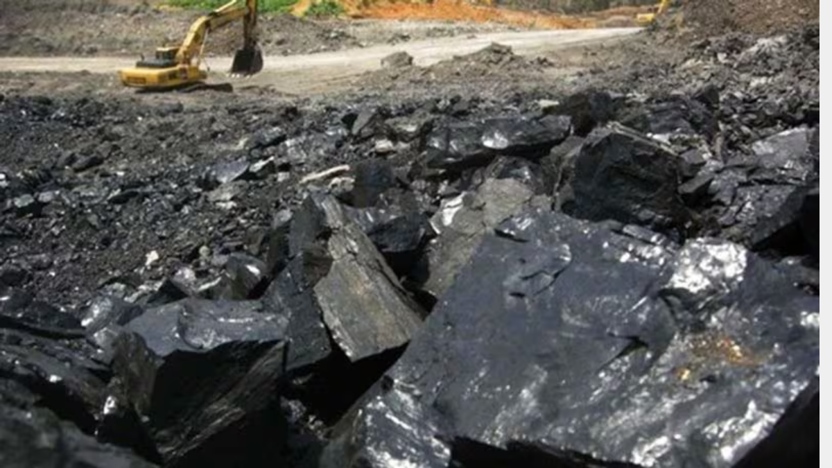 What are the Different Types of Passports in India? Know the Names and Their Eligibility