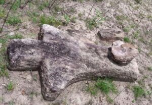 Ancient Tools Found In Telangana's Mulugu District