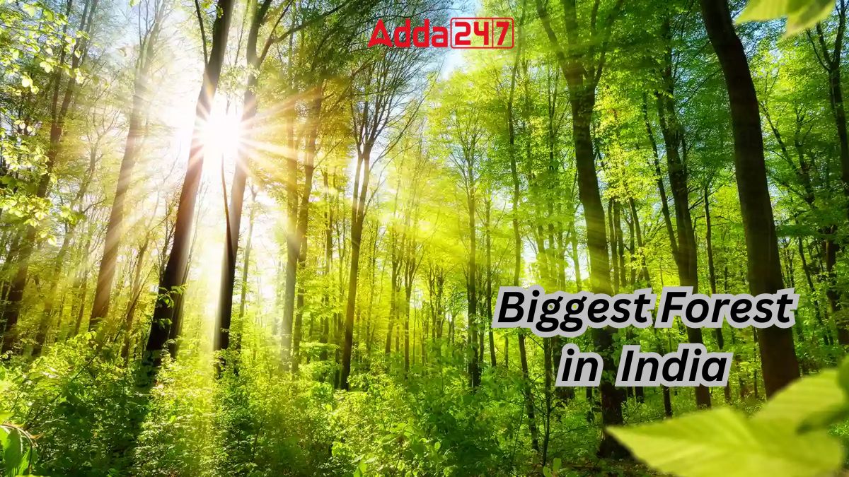 Biggest Forest in India