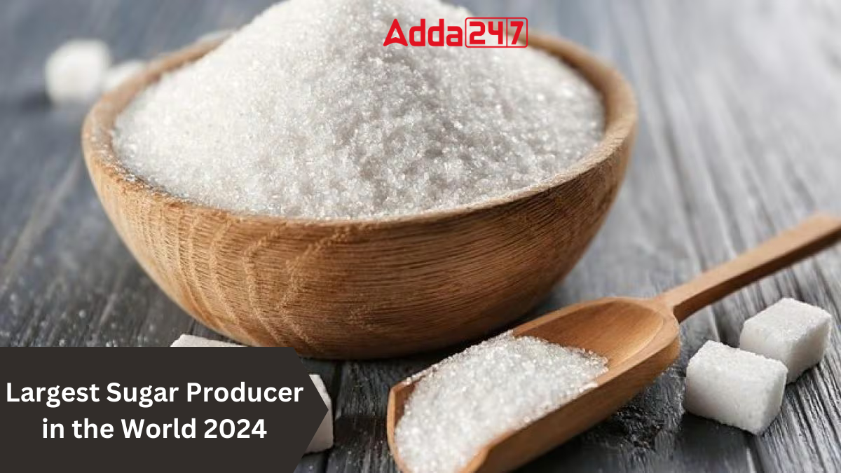 Largest Sugar Producer in the World 2024