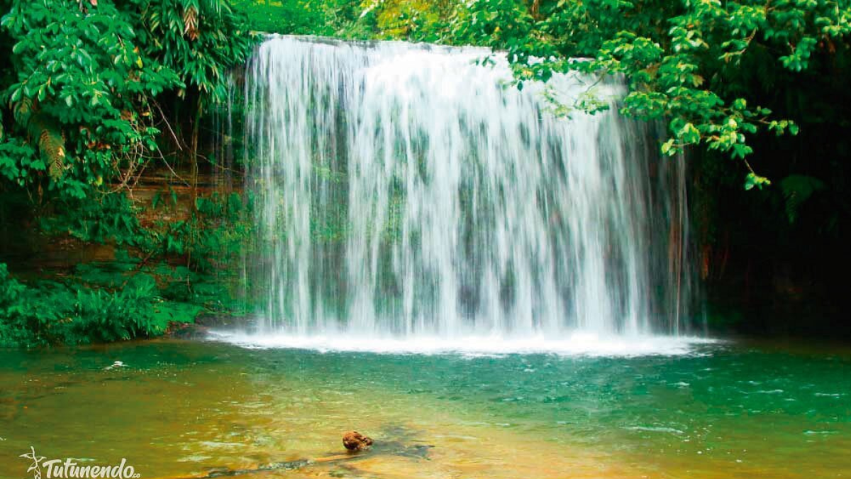 Rainiest City in the World 2025, List of Top-10