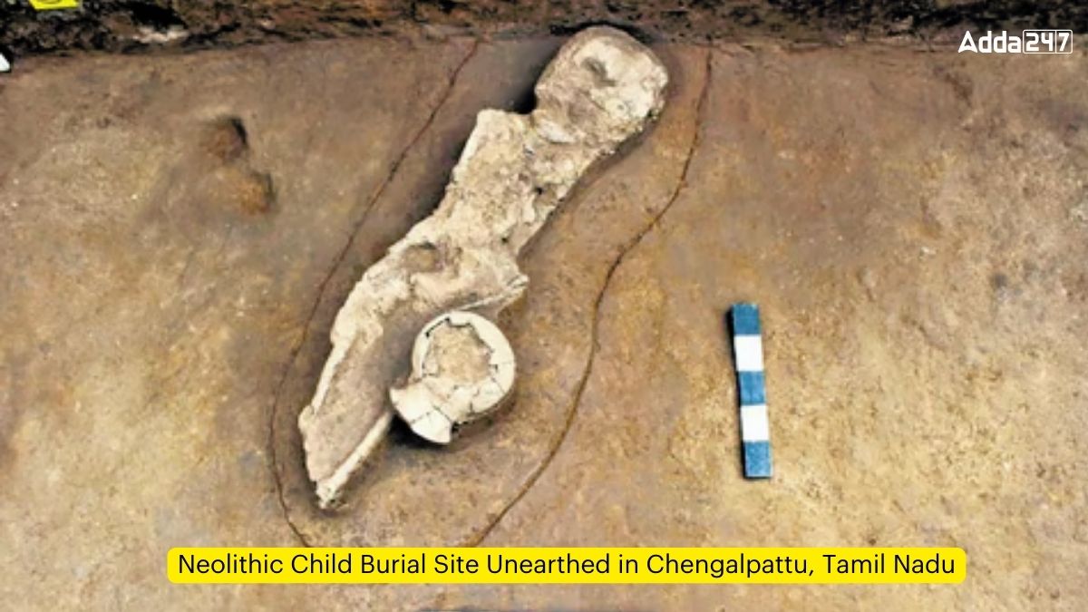 Neolithic Child Burial Site Unearthed in Chengalpattu, Tamil Nadu