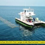Sea6 Energy Launches World's First Large-Scale Mechanized Tropical Seaweed Farm