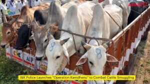 J&K Police Launches "Operation Kamdhenu" to Combat Cattle Smuggling