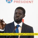 Bassirou Diomaye Faye Wins Senegal's Presidential Election