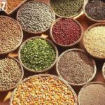 International Year of Millets 2023: A Recap
