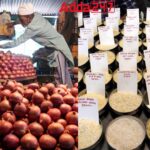 Government Approval of Onion Export to Friendly Countries