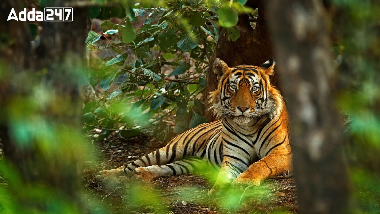 Sustainable Finance for Tiger Landscapes Conference: Bhutan's Earth Day Initiative