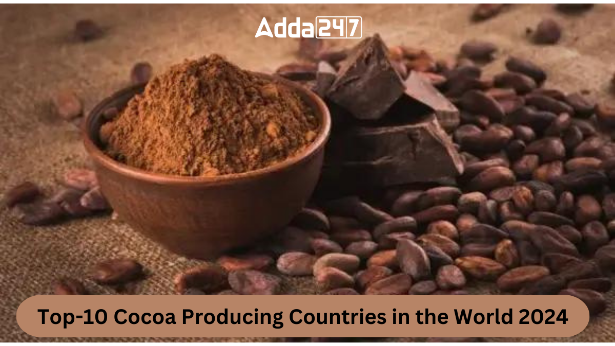 Top10 Cocoa Producing Countries in the World 2024