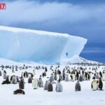 India to Host 46th Antarctic Treaty Consultative Meeting in Kochi
