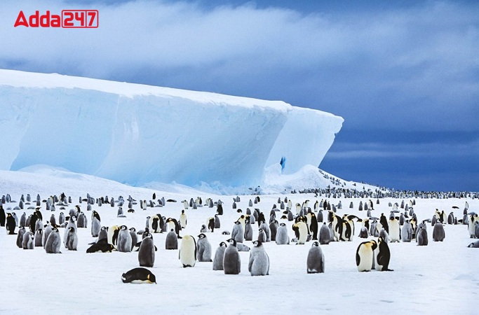 India to Host 46th Antarctic Treaty Consultative Meeting in Kochi