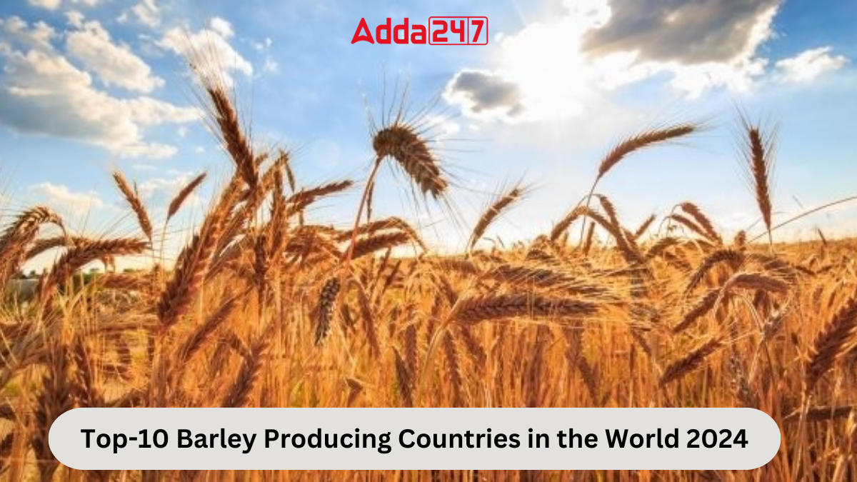 Top-10 Barley Producing Countries in the World 2024